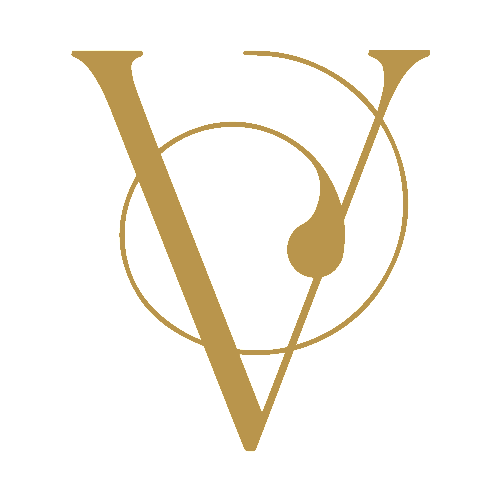 Vizaz logo